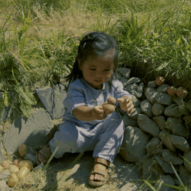 A Meal Dream Portrait_Image by Shige Moriya_1
